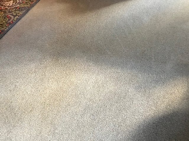 Carpet cleaning after