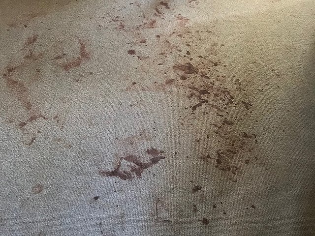 Carpet cleaning before