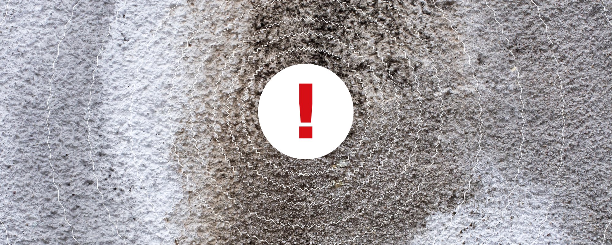 emergency-carpet-cleaning