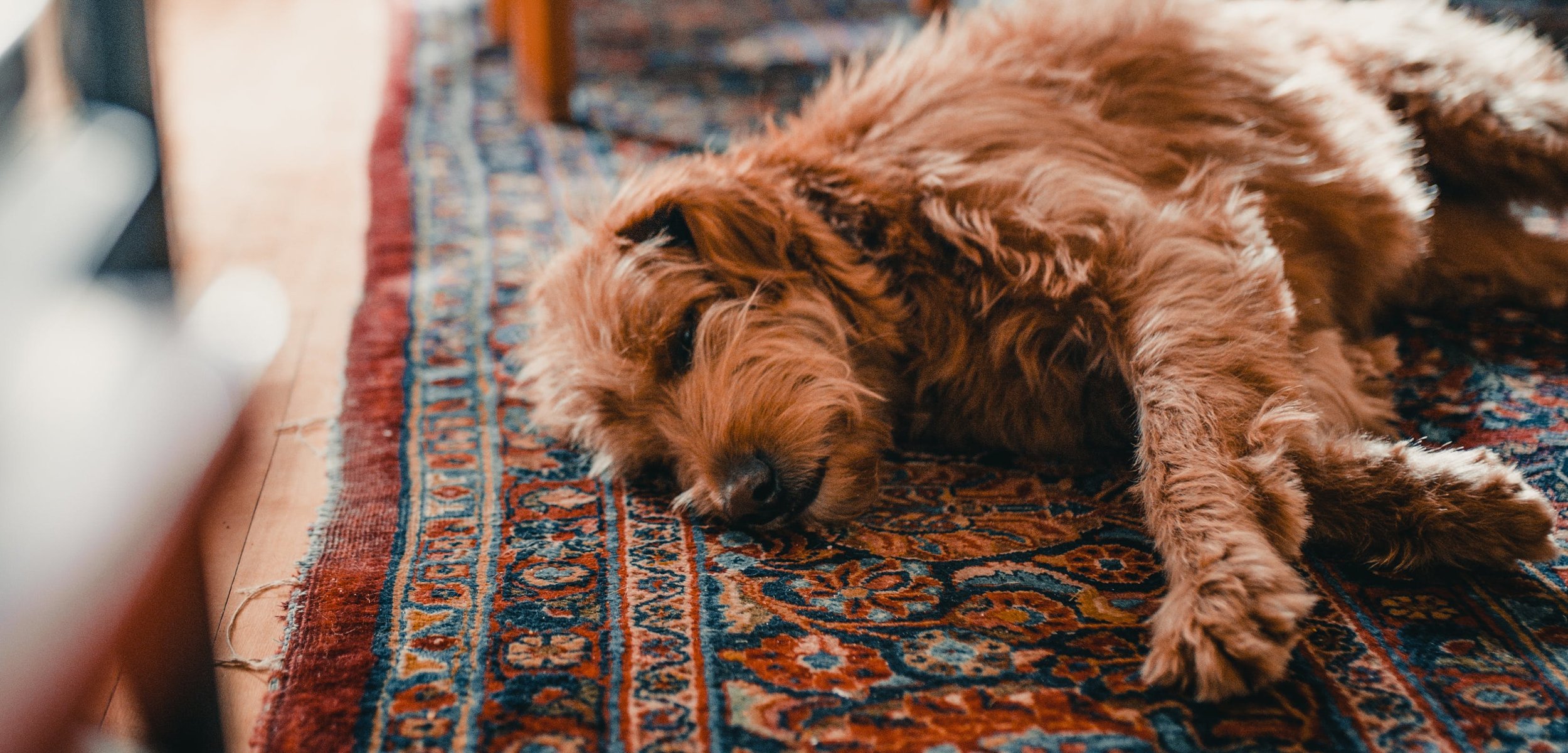 Rug cleaning